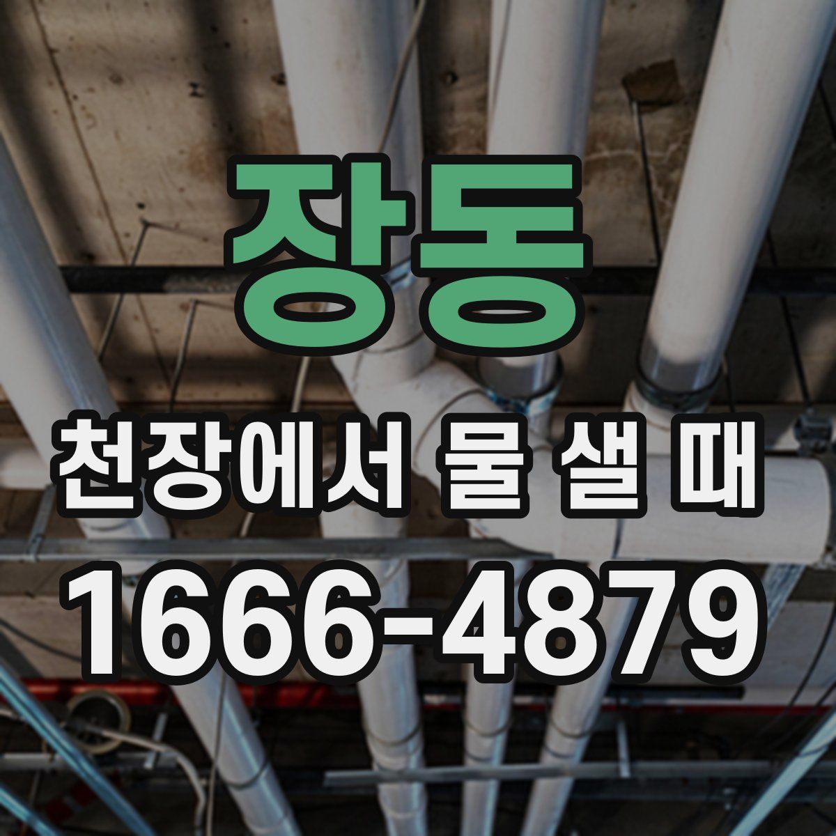 장동 천장에서 물 샐 때