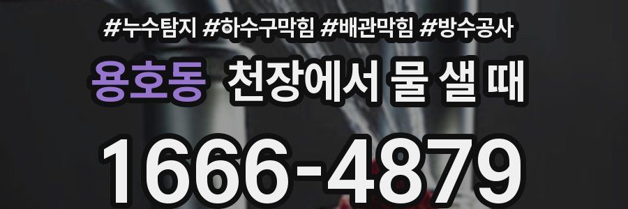 용호동 천장에서 물 샐 때