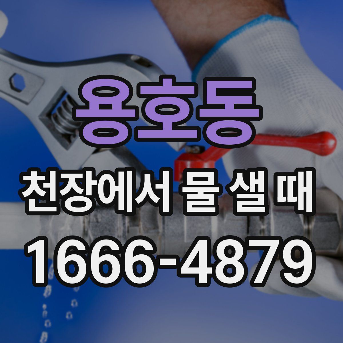 용호동 천장에서 물 샐 때