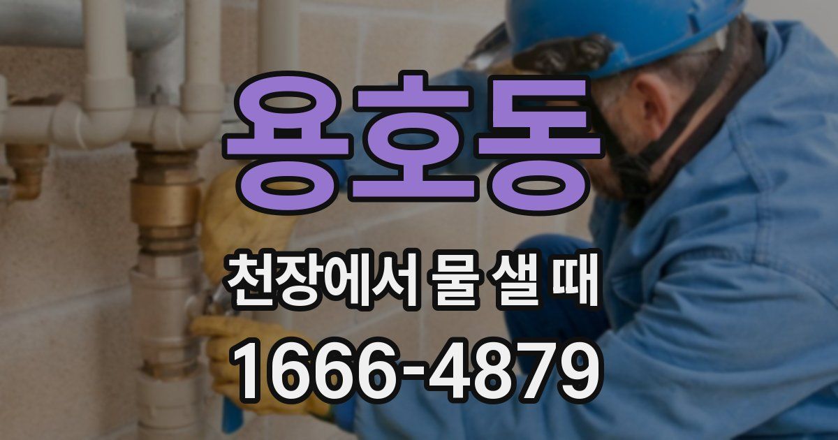 용호동 천장에서 물 샐 때