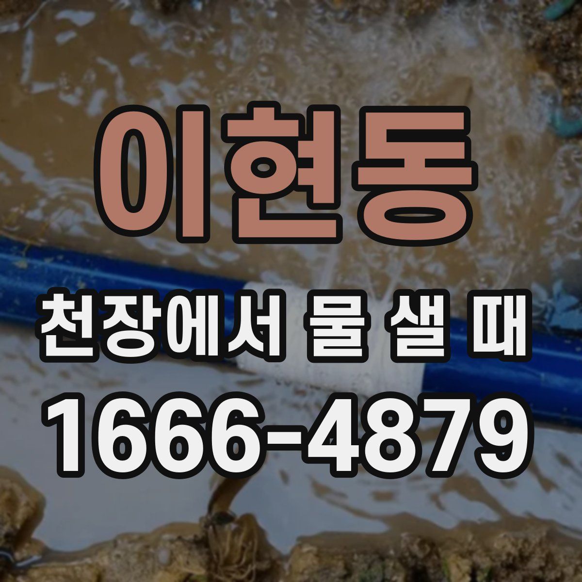 이현동 천장에서 물 샐 때
