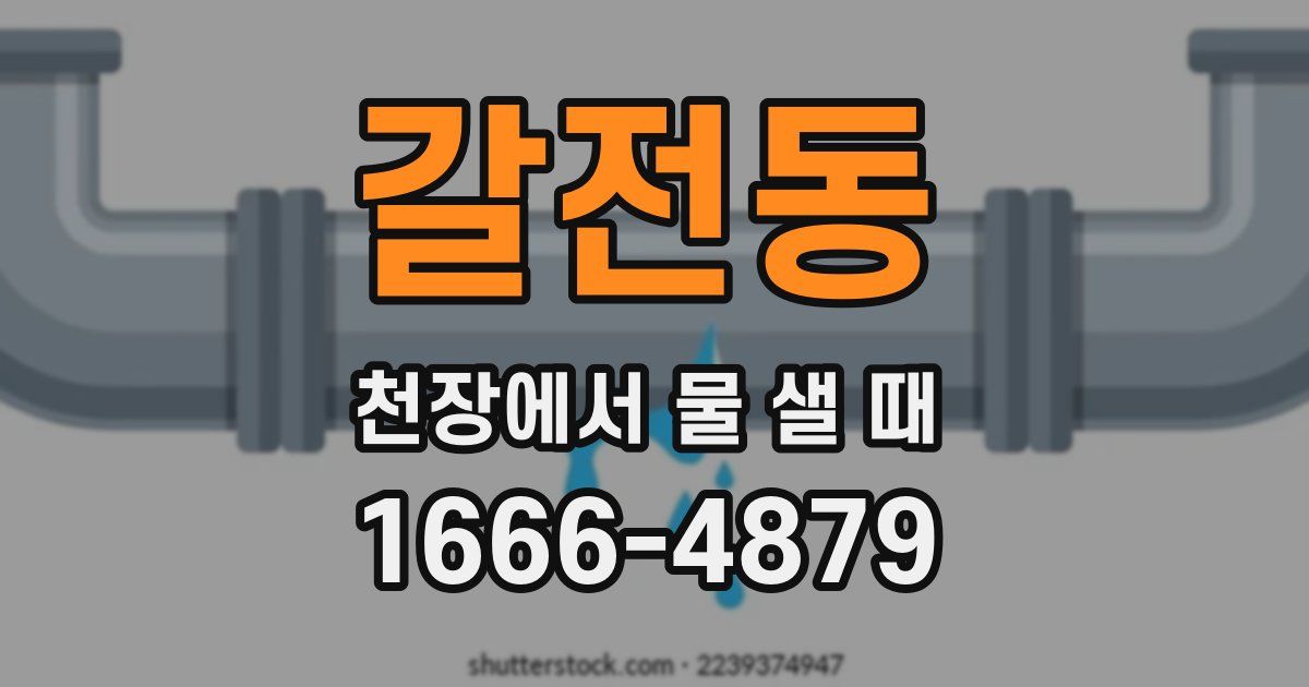 갈전동 천장에서 물 샐 때