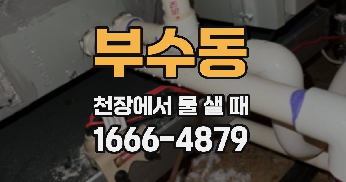 부수동 천장에서 물 샐 때