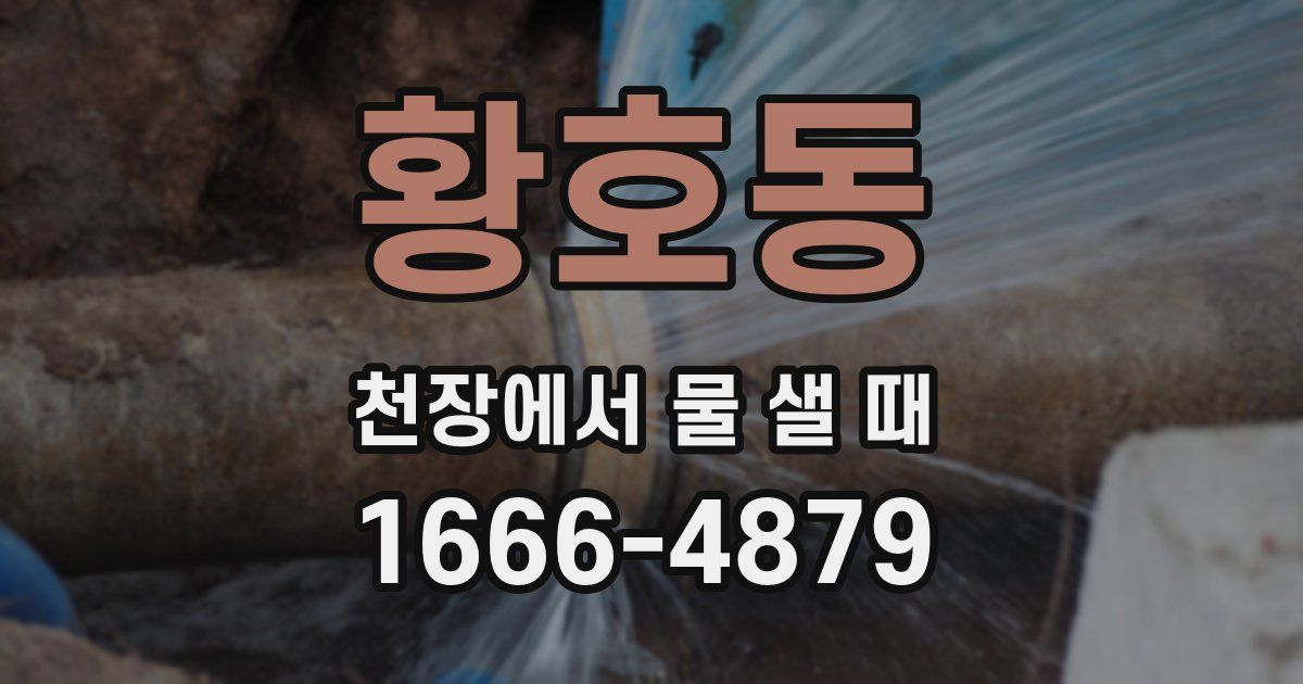 황호동 천장에서 물 샐 때