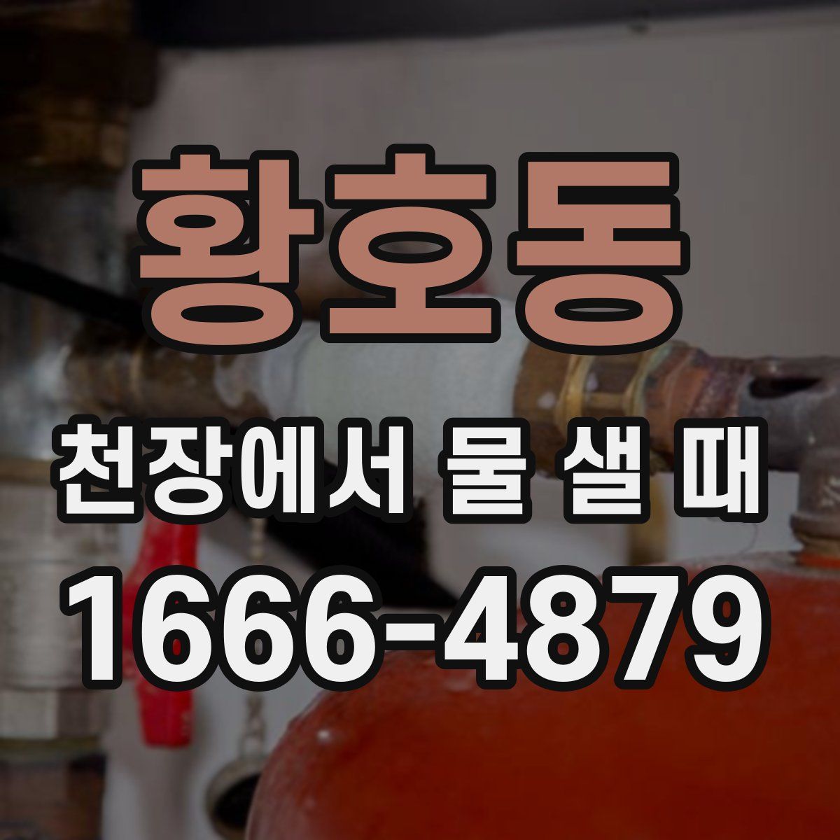 황호동 천장에서 물 샐 때