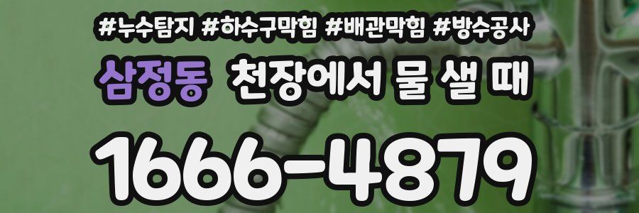 삼정동 천장에서 물 샐 때