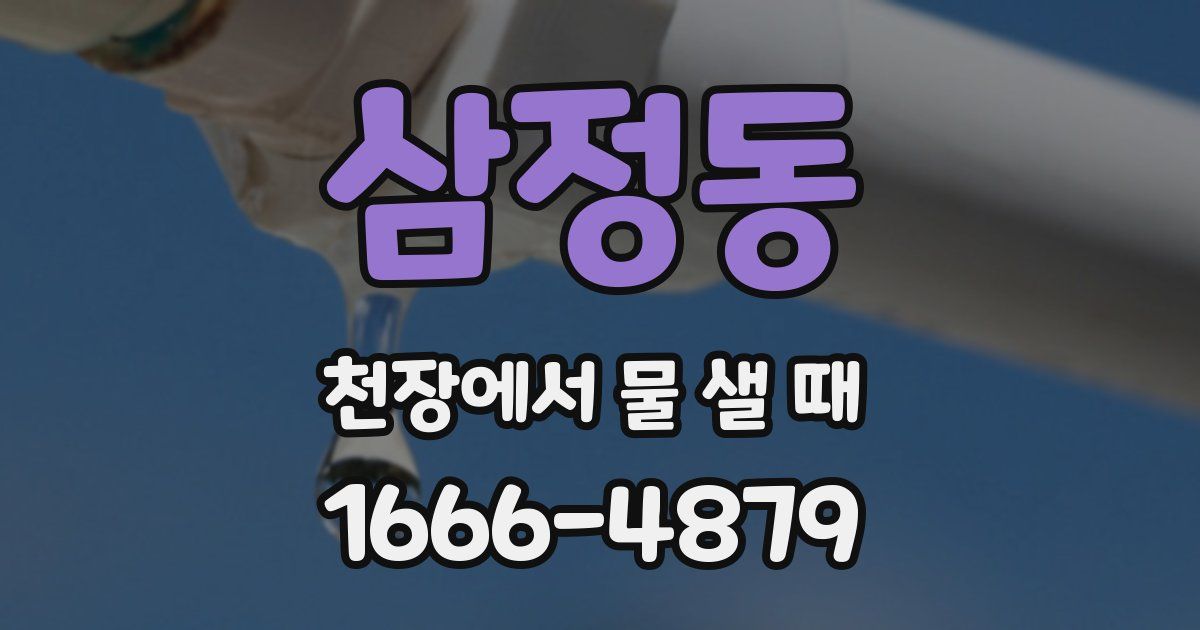 삼정동 천장에서 물 샐 때