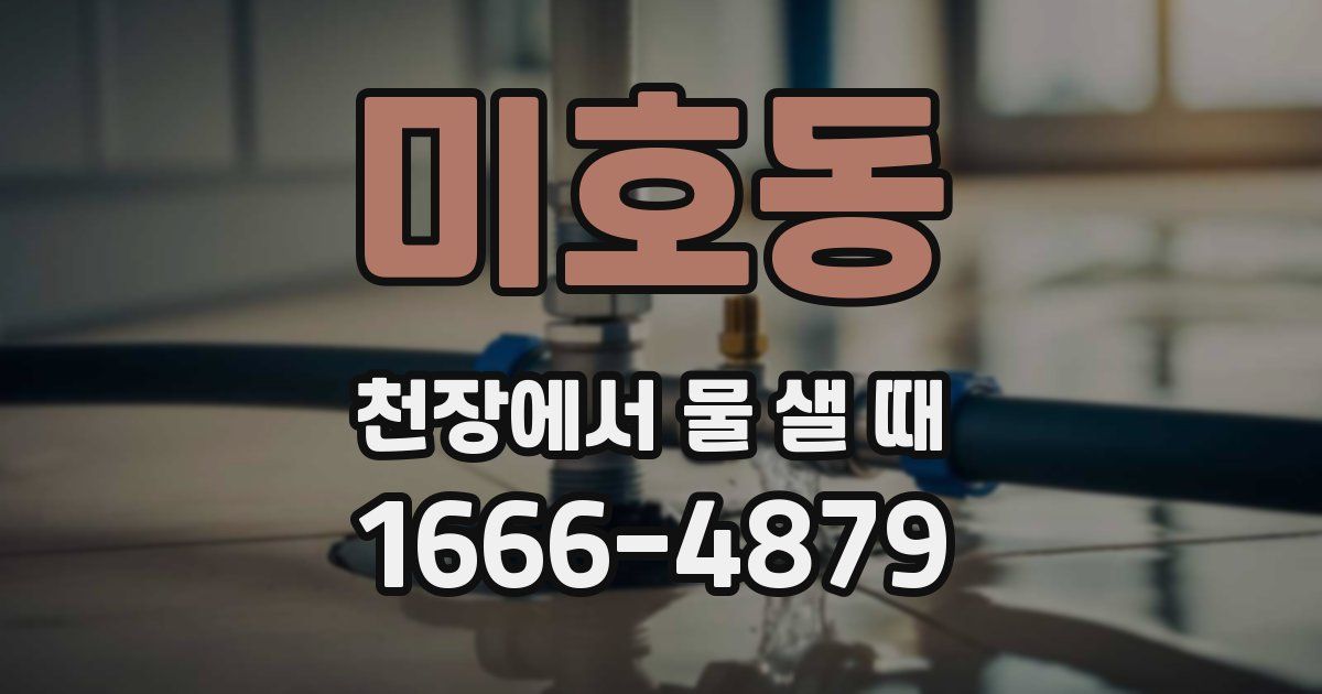 미호동 천장에서 물 샐 때