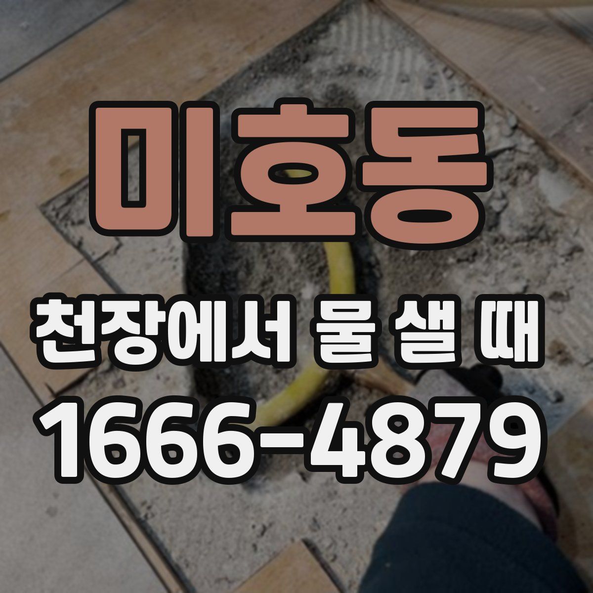 미호동 천장에서 물 샐 때