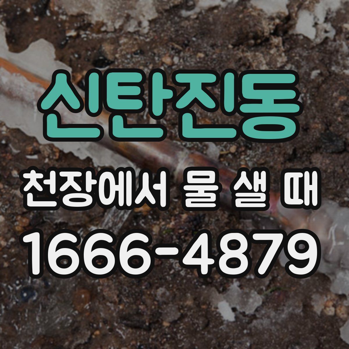 신탄진동 천장에서 물 샐 때