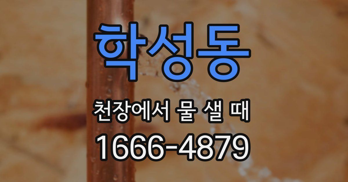 학성동 천장에서 물 샐 때