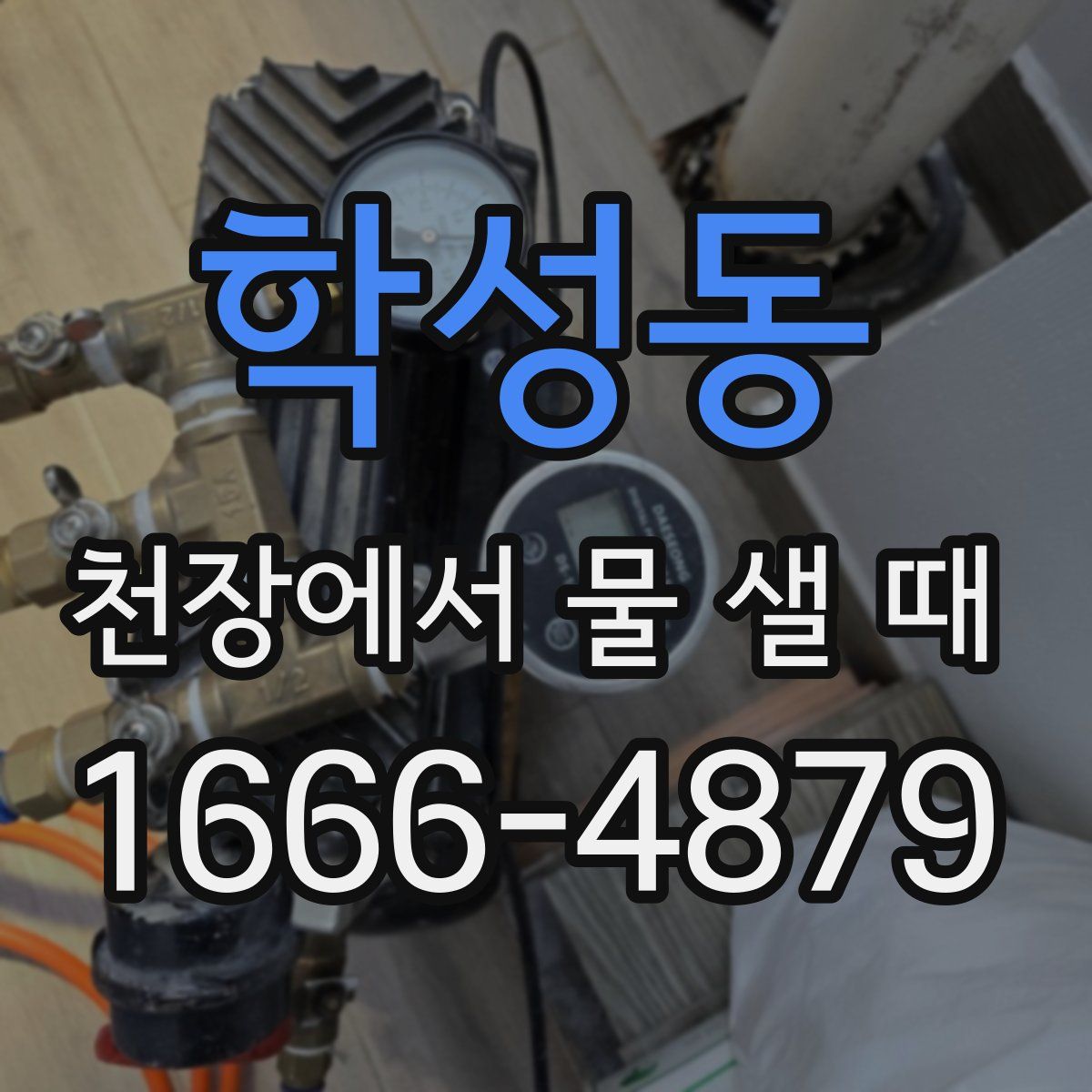 학성동 천장에서 물 샐 때