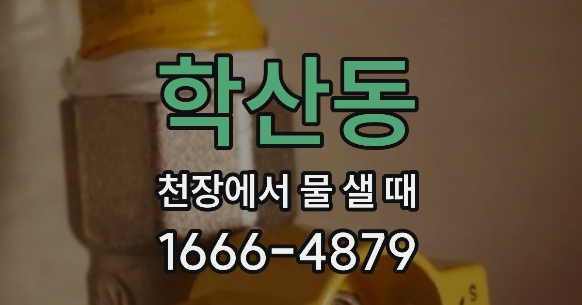 학산동 천장에서 물 샐 때