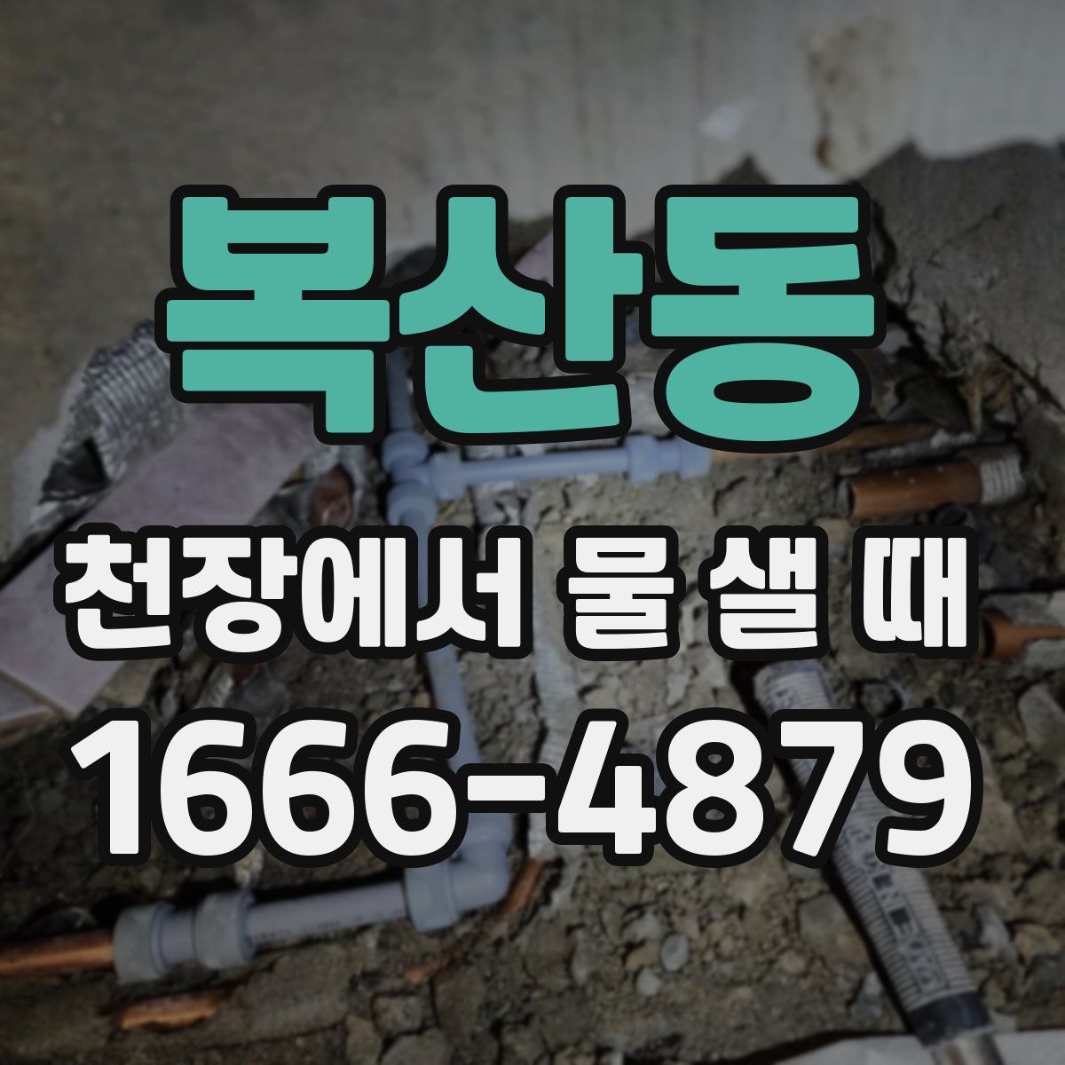 복산동 천장에서 물 샐 때