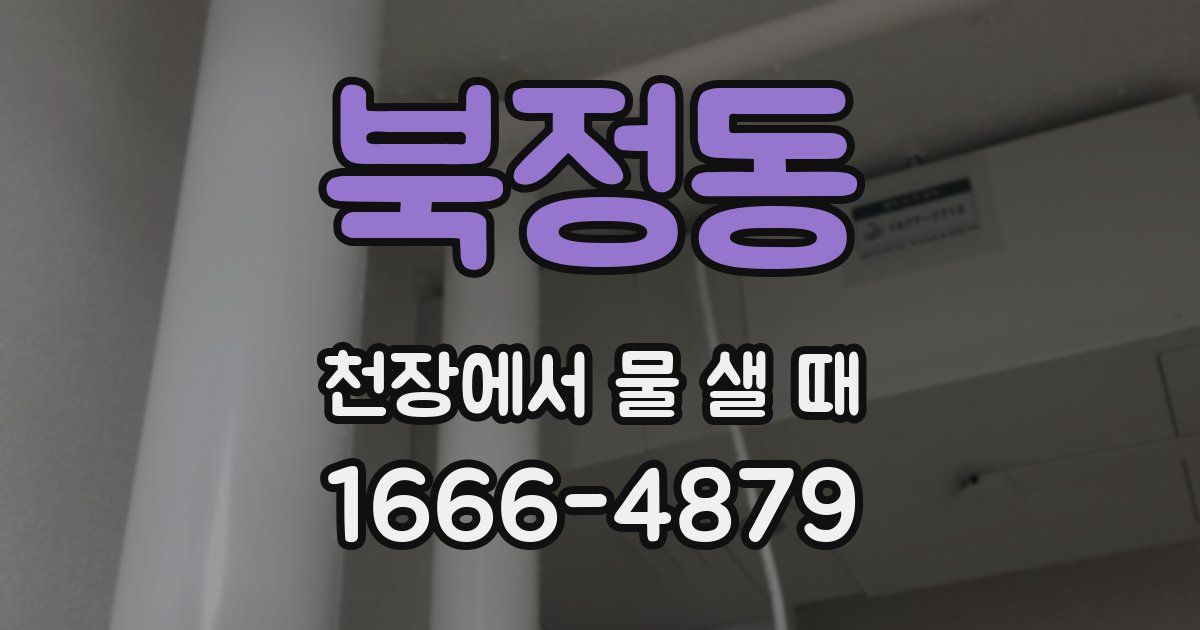 북정동 천장에서 물 샐 때