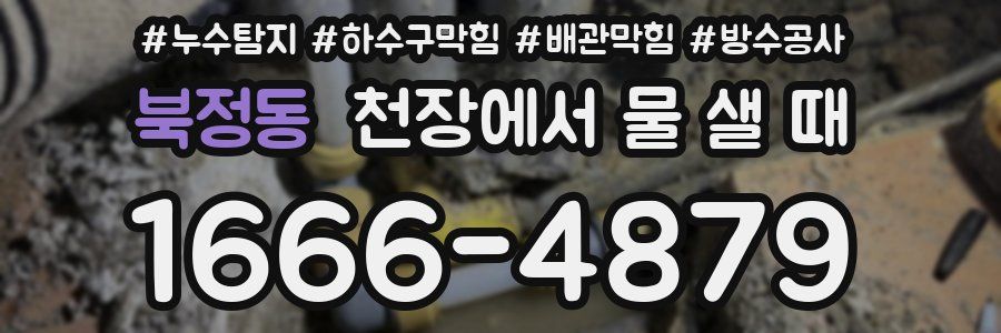 북정동 천장에서 물 샐 때