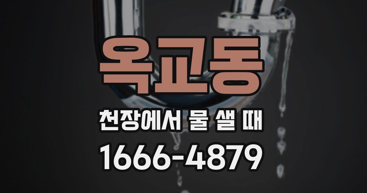 옥교동 천장에서 물 샐 때