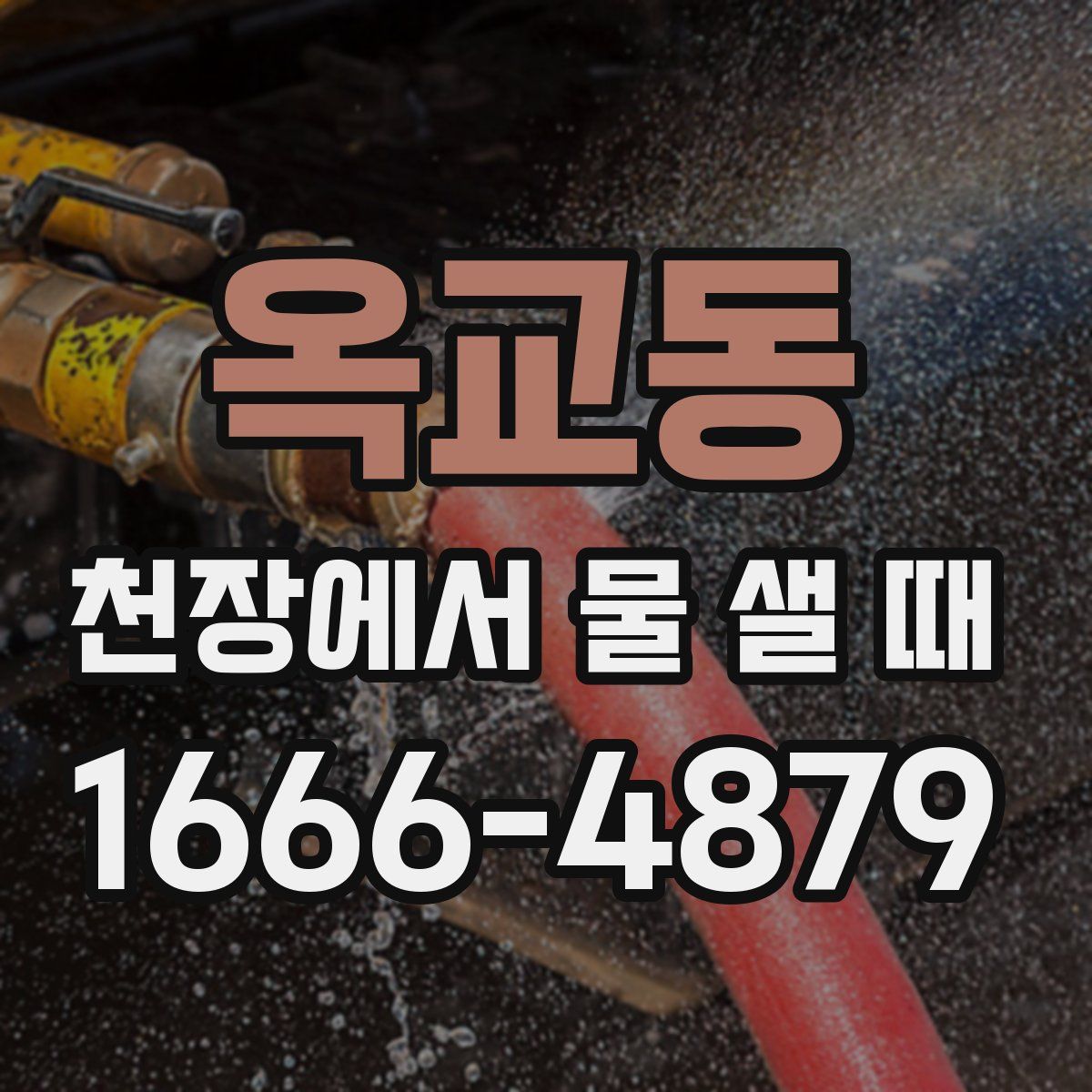 옥교동 천장에서 물 샐 때