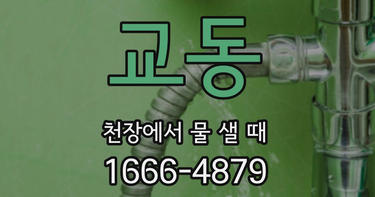 교동 천장에서 물 샐 때