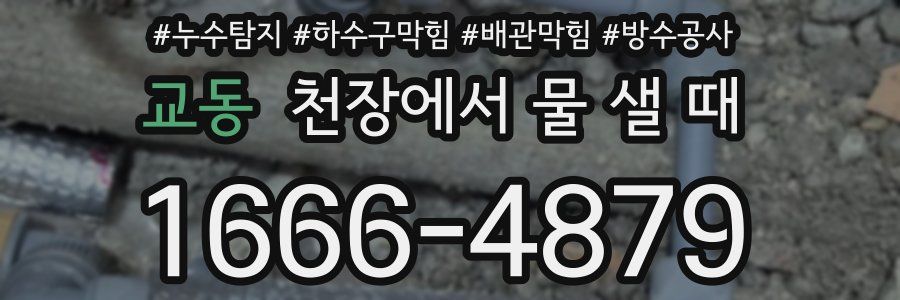 교동 천장에서 물 샐 때