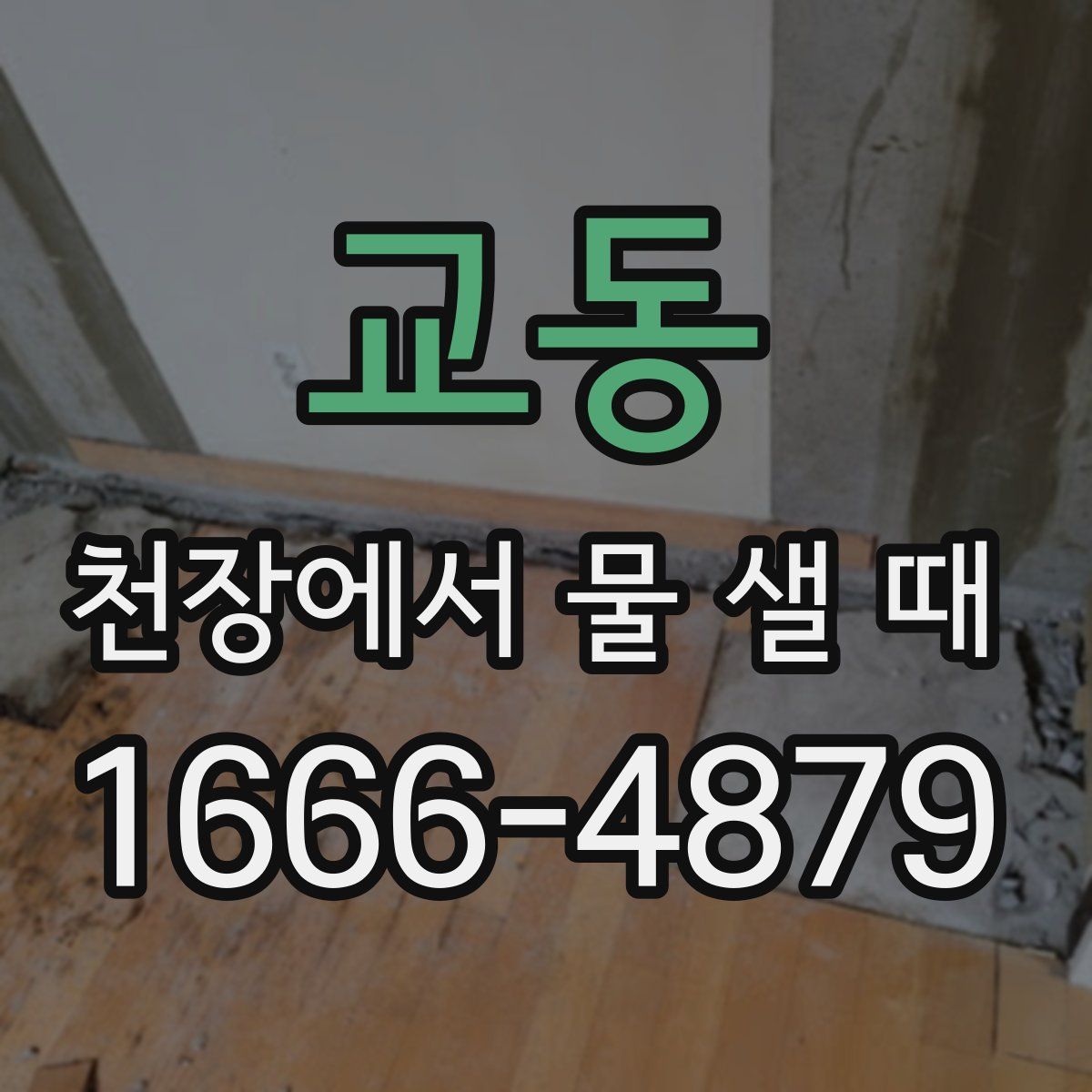 교동 천장에서 물 샐 때