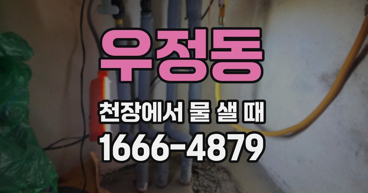 우정동 천장에서 물 샐 때