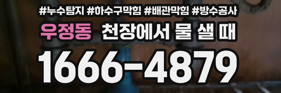 우정동 천장에서 물 샐 때
