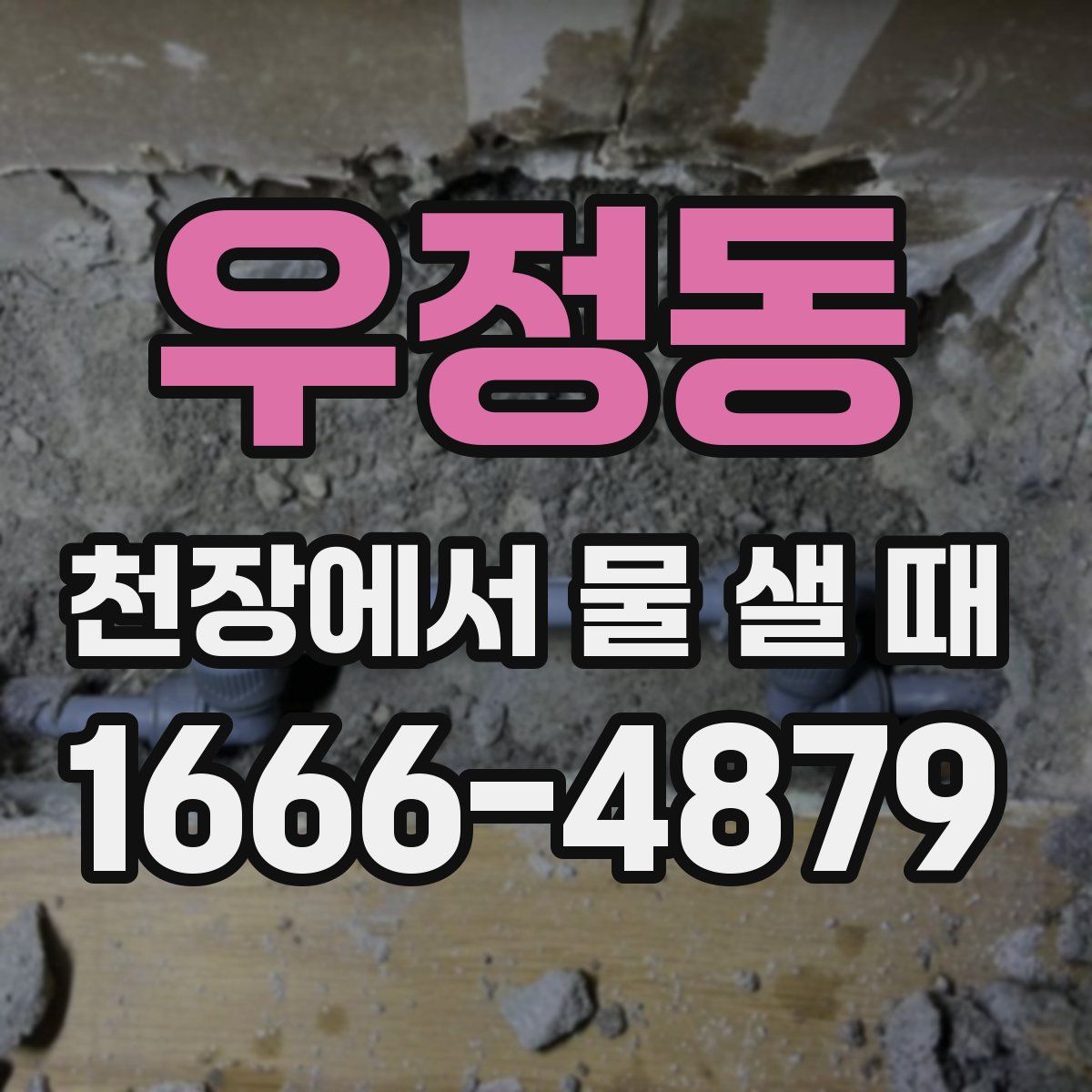 우정동 천장에서 물 샐 때