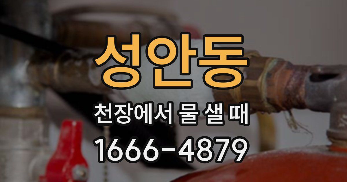 성안동 천장에서 물 샐 때