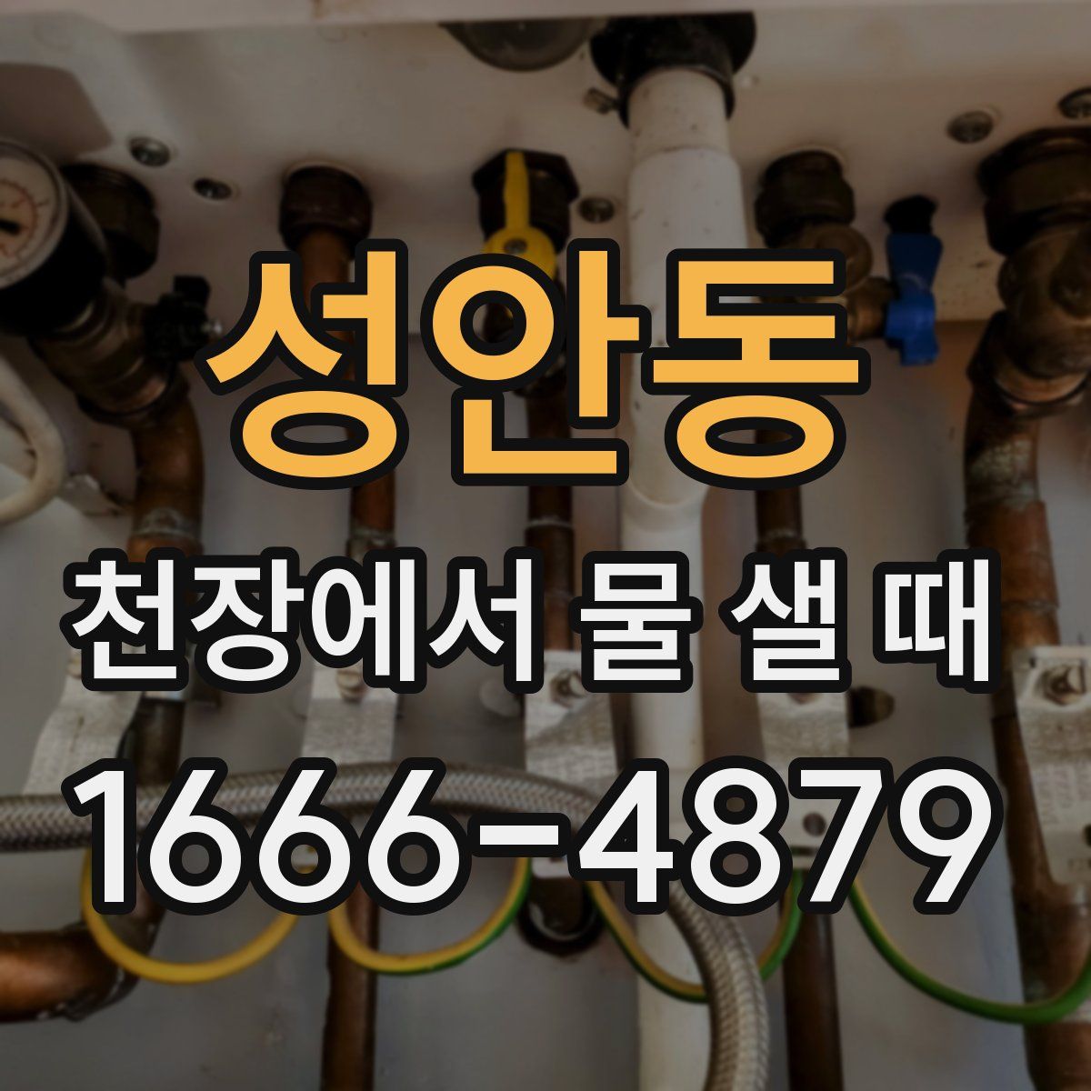 성안동 천장에서 물 샐 때
