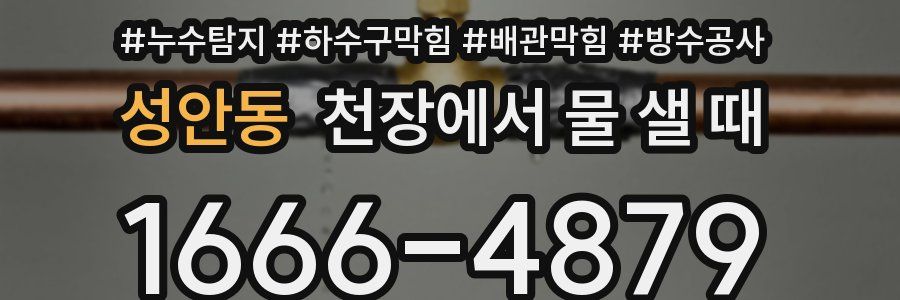 성안동 천장에서 물 샐 때