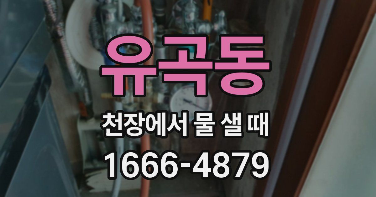 유곡동 천장에서 물 샐 때