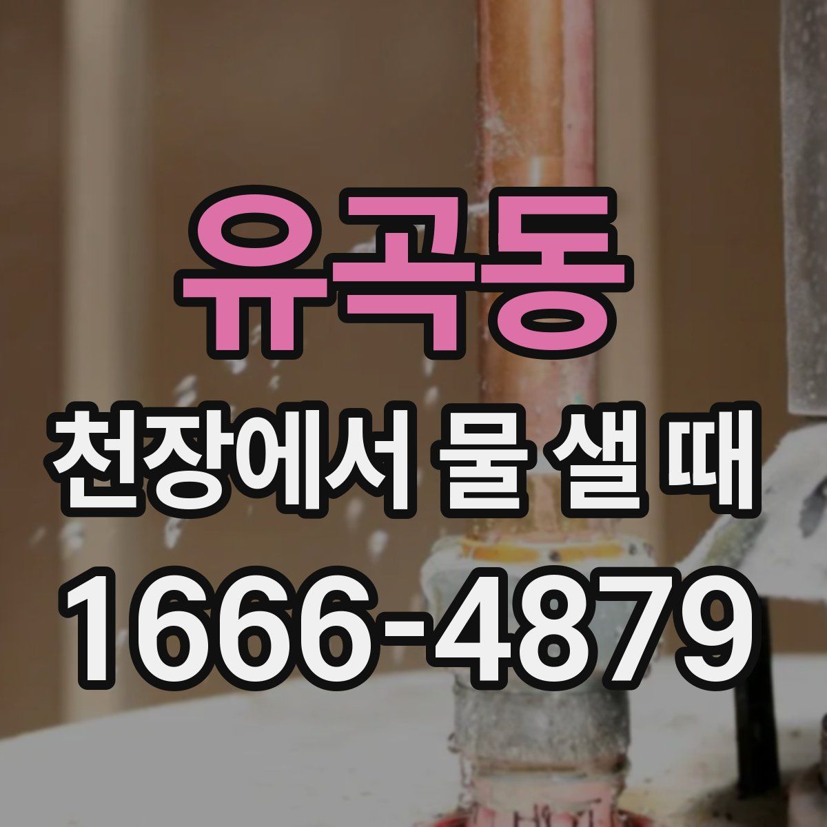 유곡동 천장에서 물 샐 때