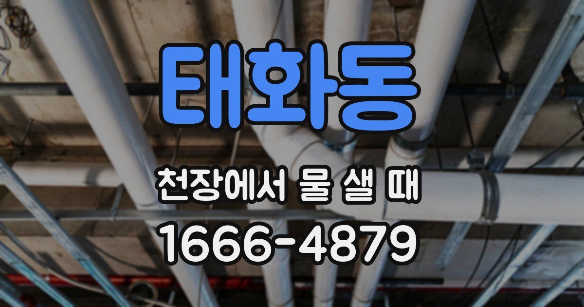 태화동 천장에서 물 샐 때