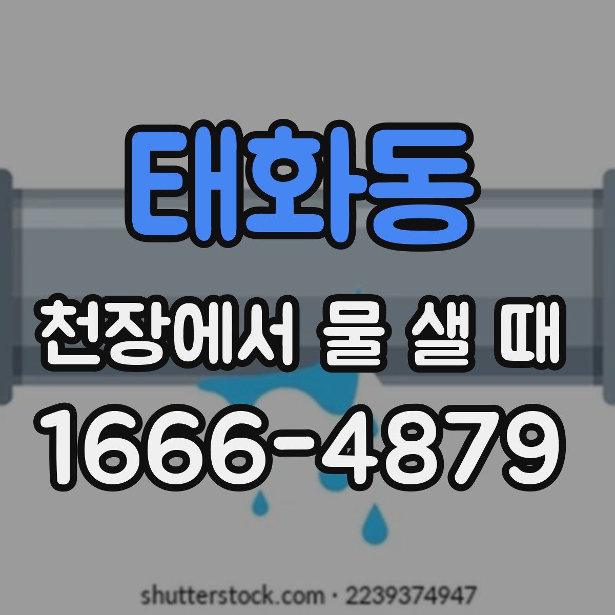 태화동 천장에서 물 샐 때