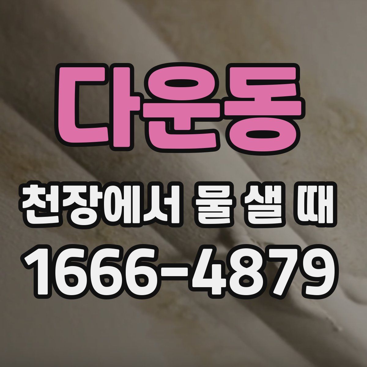 다운동 천장에서 물 샐 때