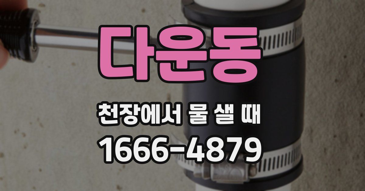 다운동 천장에서 물 샐 때