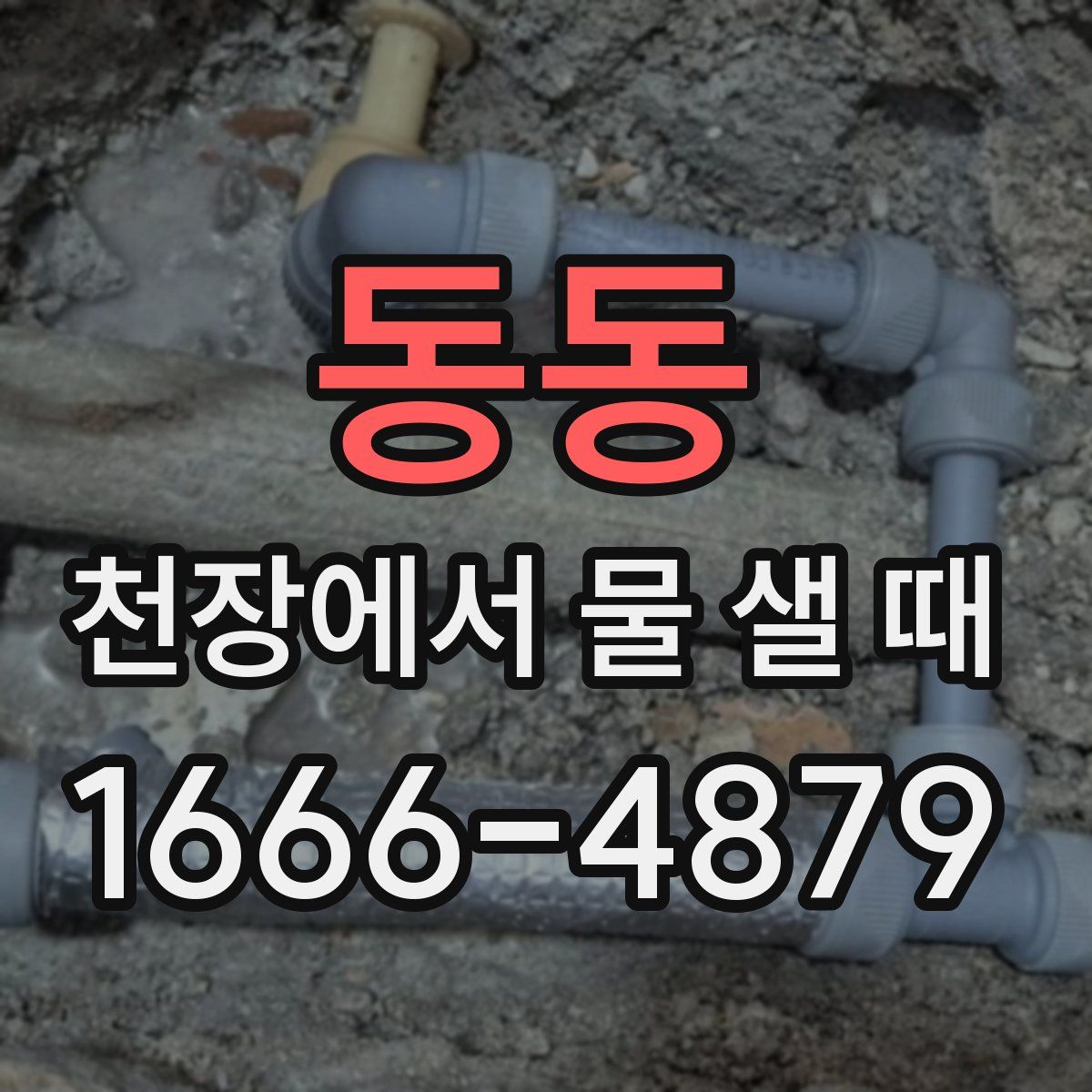 동동 천장에서 물 샐 때