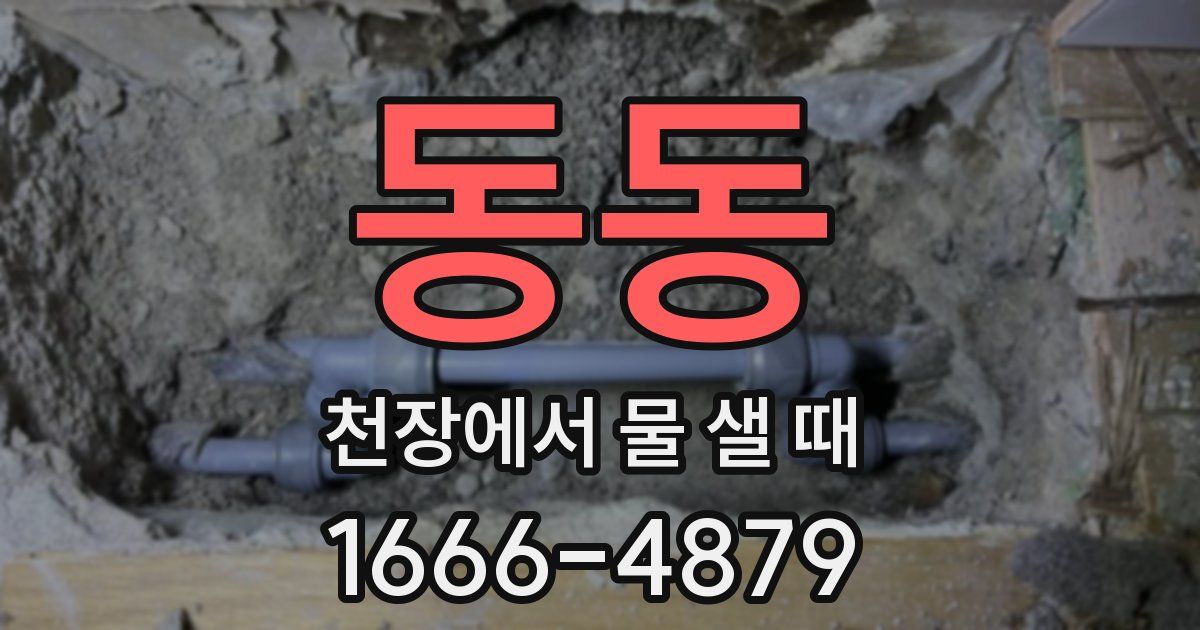 동동 천장에서 물 샐 때