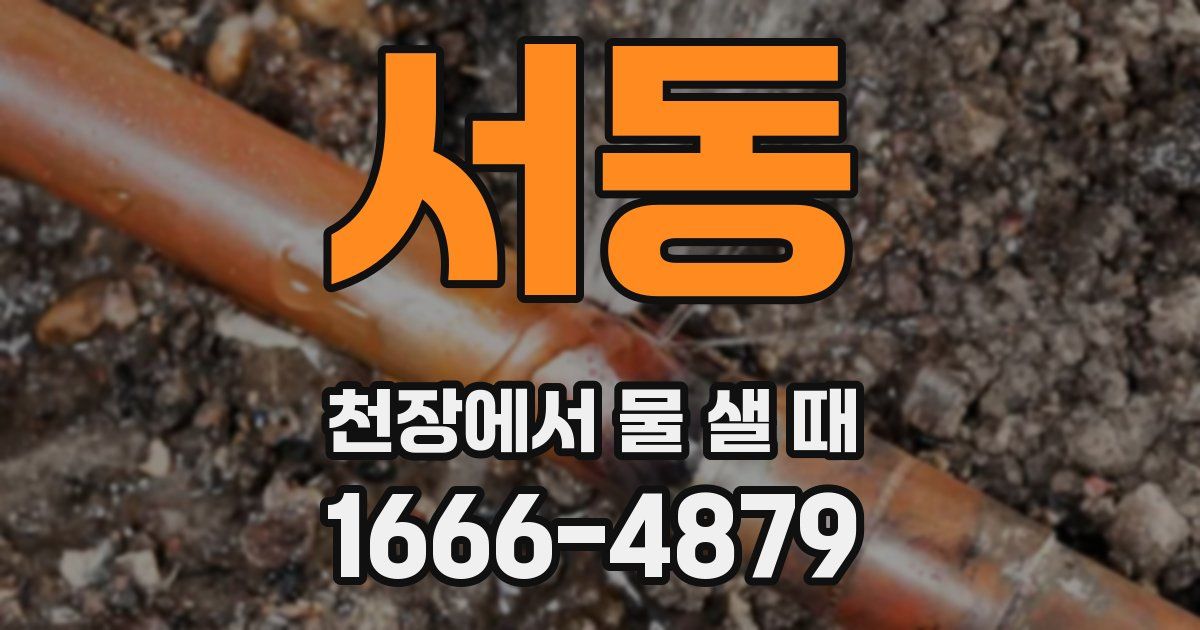 서동 천장에서 물 샐 때