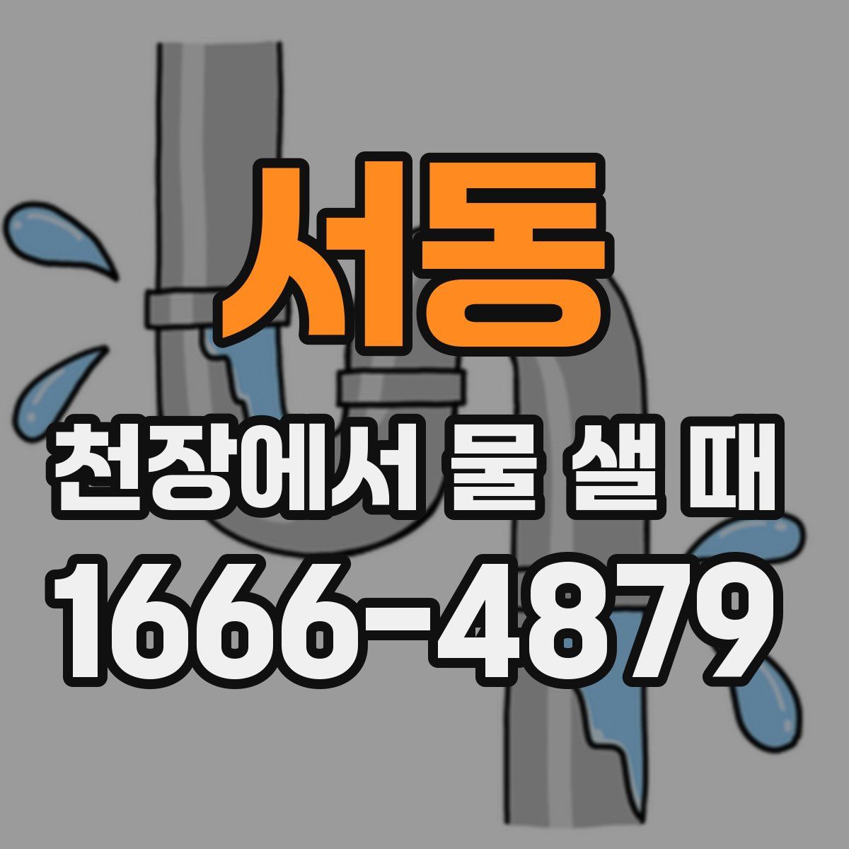 서동 천장에서 물 샐 때