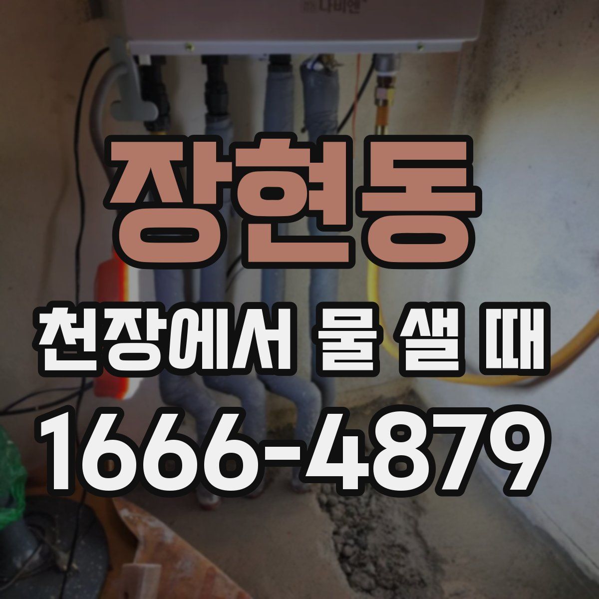 장현동 천장에서 물 샐 때