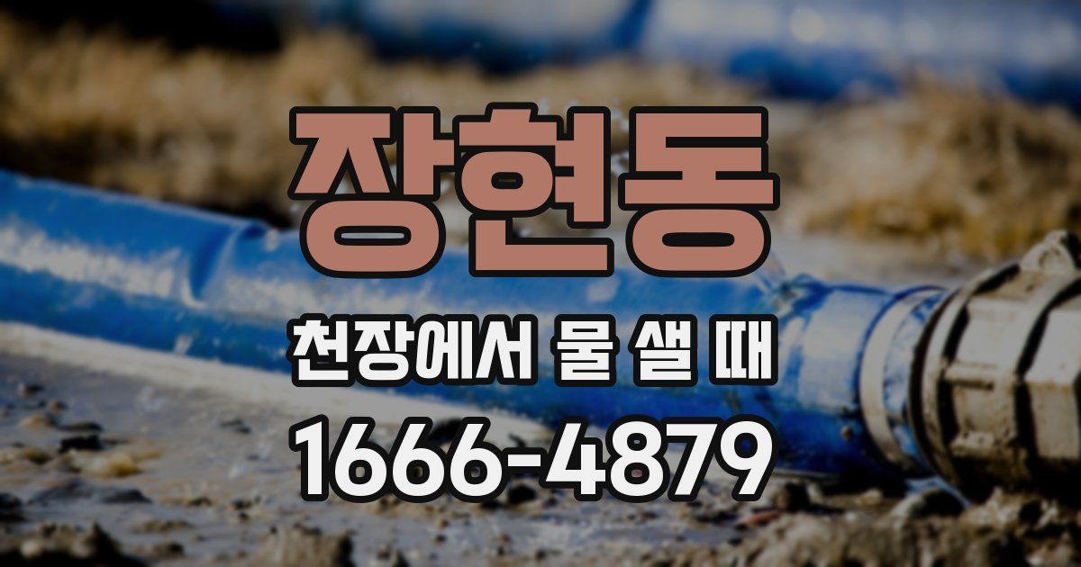 장현동 천장에서 물 샐 때