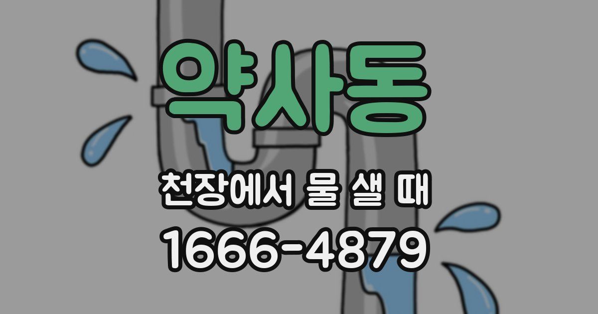 약사동 천장에서 물 샐 때