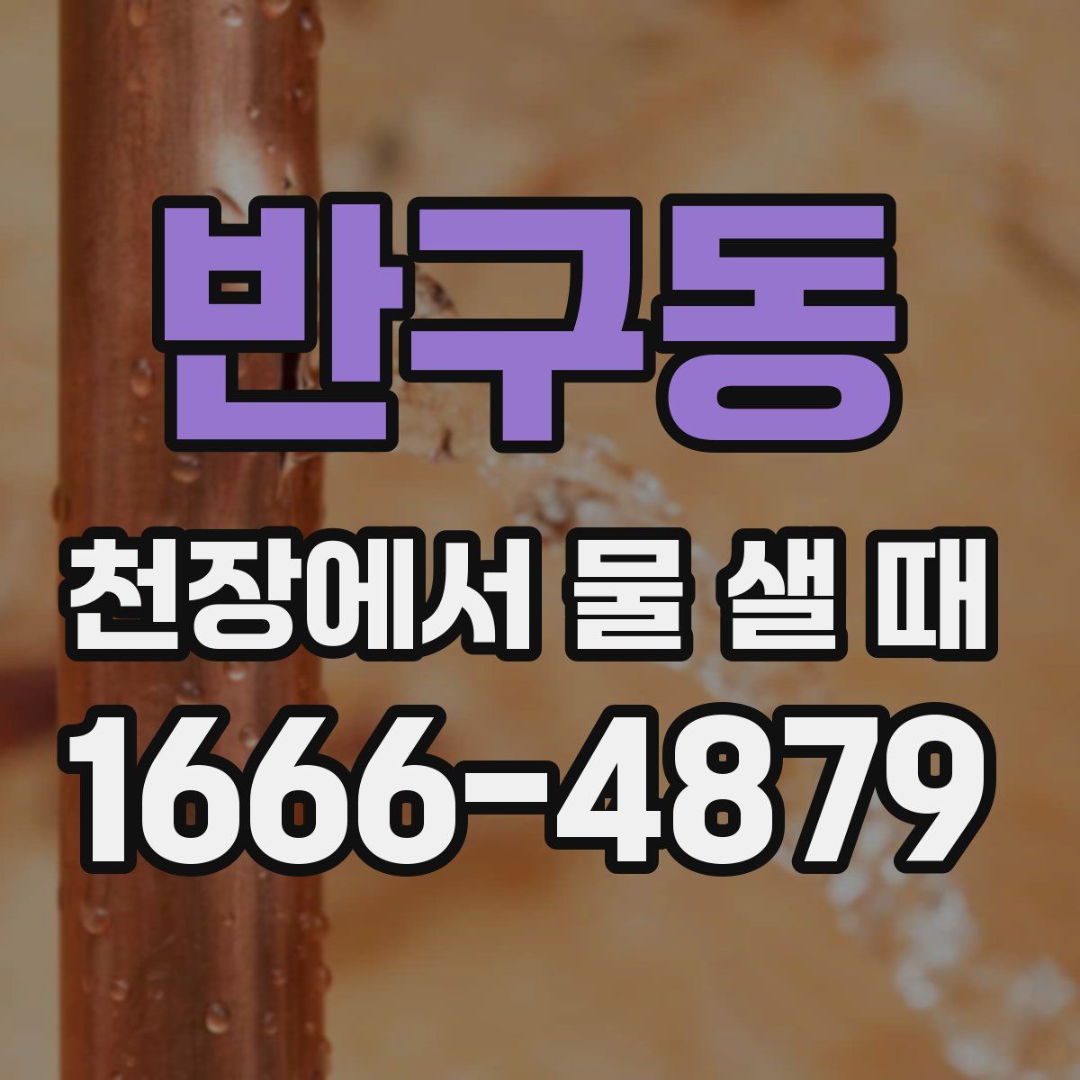 반구동 천장에서 물 샐 때