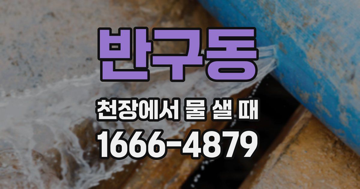 반구동 천장에서 물 샐 때