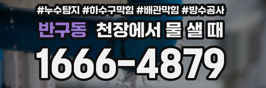반구동 천장에서 물 샐 때