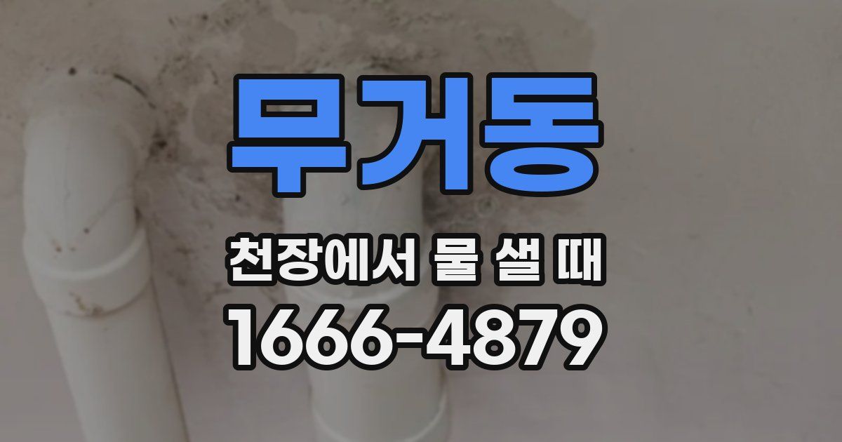 무거동 천장에서 물 샐 때