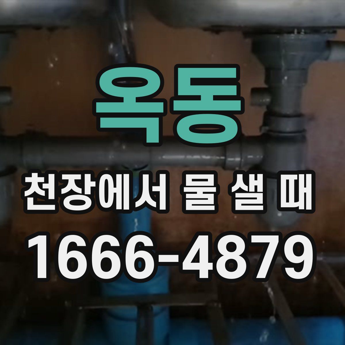 옥동 천장에서 물 샐 때