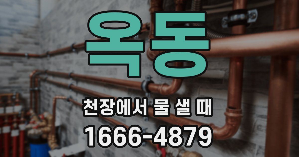 옥동 천장에서 물 샐 때